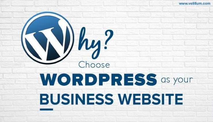 Choose WordPress for Business Website