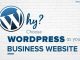 Choose WordPress for Business Website