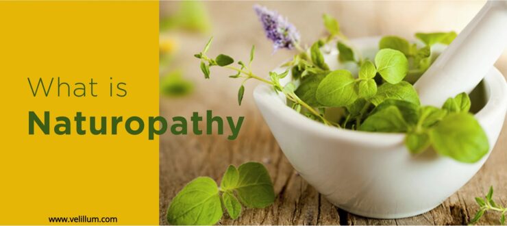 What is naturopathy?