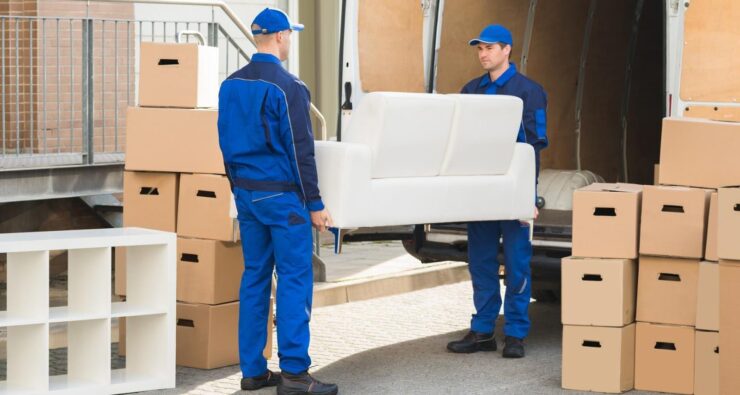 How to Choose Right Removalist