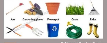 Common Gardening Tools