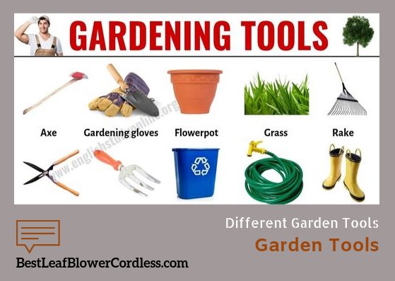 Common Gardening Tools