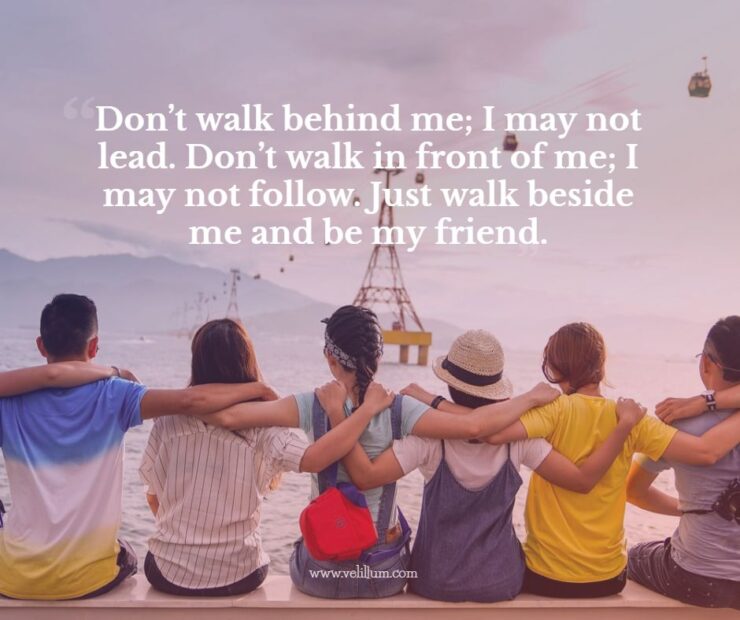 Friendship Quotes