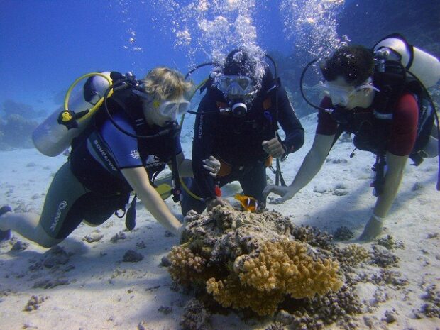 diving in Tauchschule Hurghada