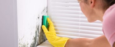 How to kill mold