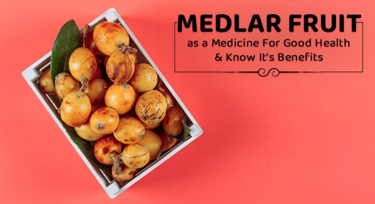 Medlar Fruit