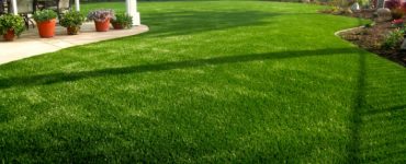 Artificial Grass Abu Dhabi