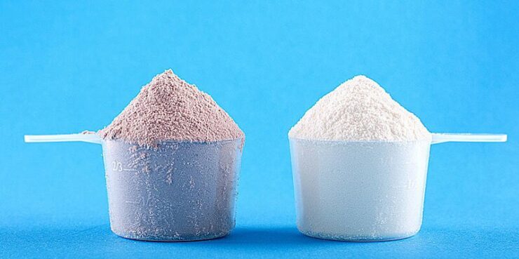 Vegan versus Dairy Protein Powder