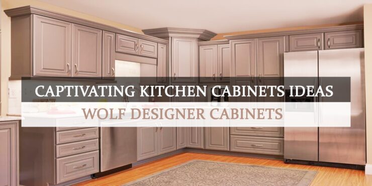 Captivating Kitchen Cabinets Ideas - Wolf Designer Cabinets