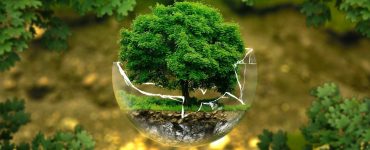 Top 7 Benefits of Positive Environmental